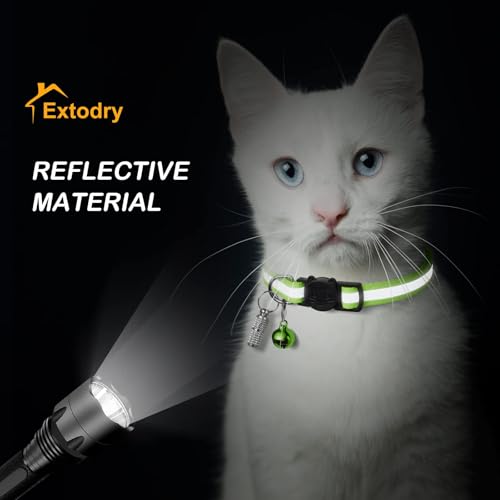 Best Breakaway Cat Collar For Safety