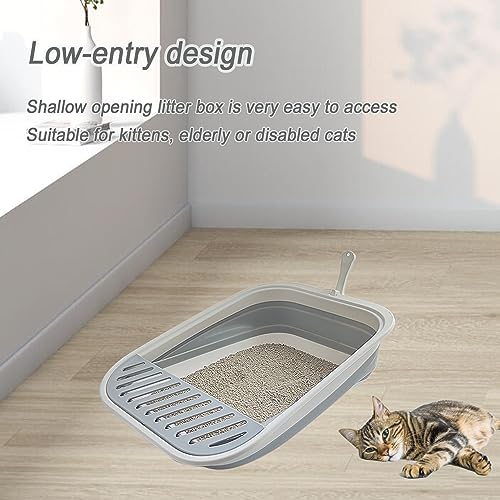 Best Kitten Litter Box For Small Kittens