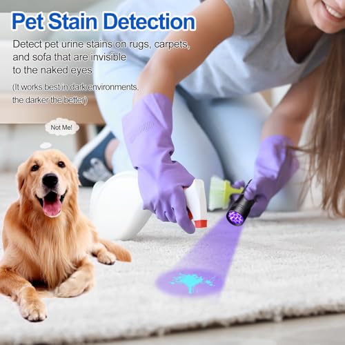 Best UV Black Light For Finding Cat Pee Stains