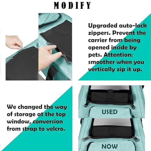 Best Collapsible Cat Carrier For Vet Visits