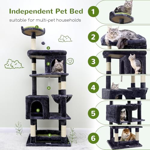 Best Cat Tree For Large Cats