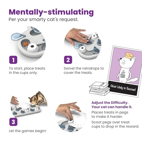 Best Puzzle Feeder For Cats