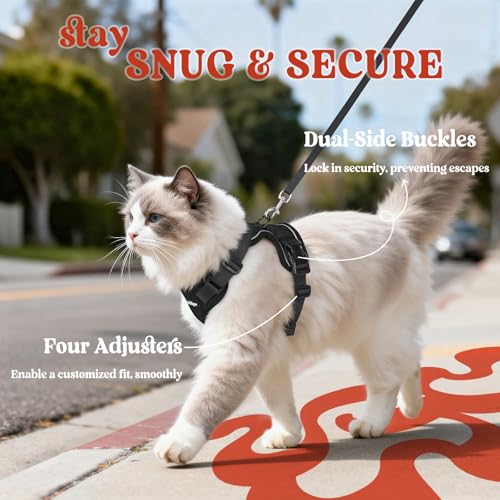 Best Cat Harness For Escape-Proof Walking