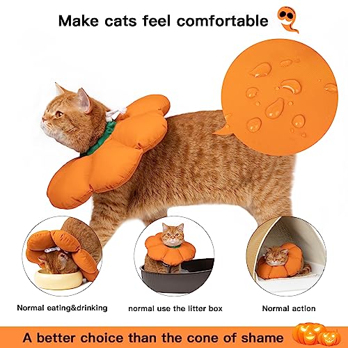 Best E-collar Alternative For Cats