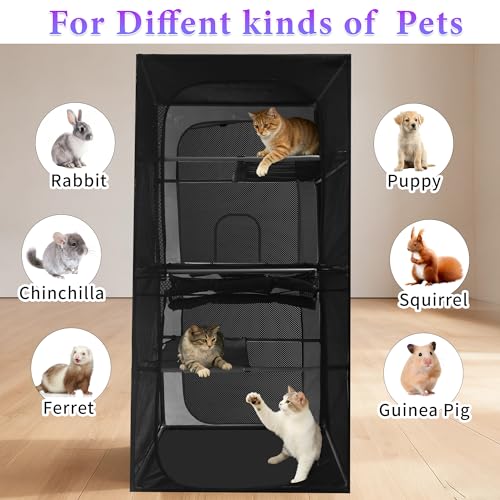 Best Cat Enclosure For Balcony