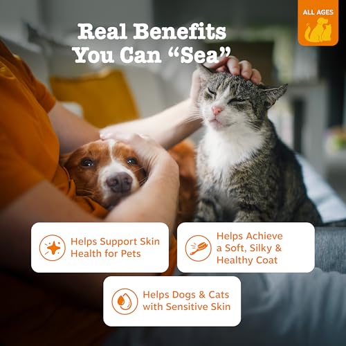 Best Omega-3 Supplement For Cats Coat Health