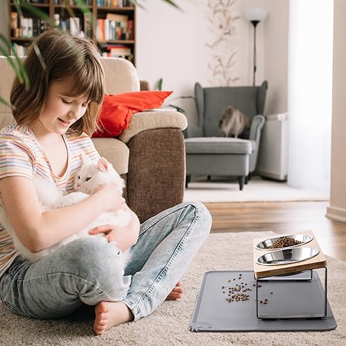 Best Elevated Cat Food Bowl For Senior Cats