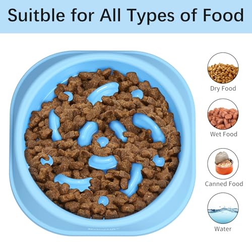 Best Slow Feeder Bowl For Cats Who Eat Too Fast