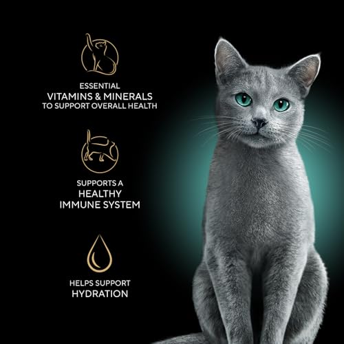 Best Cheap Wet Cat Food