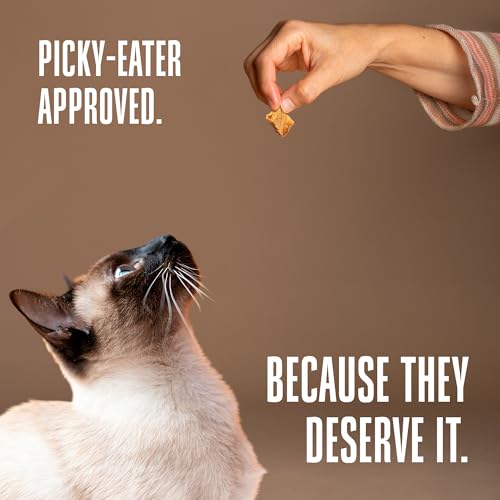 Best High Protein Cat Treats