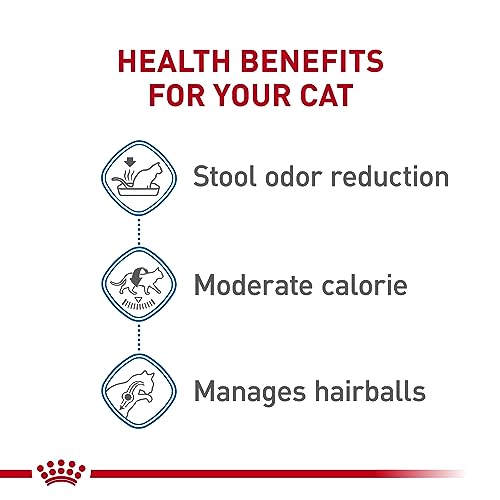 Royal Canin Cat Food Review