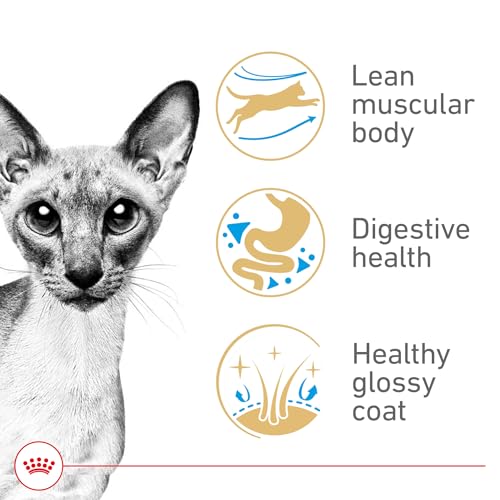 Best Cat Food For Siamese Cats