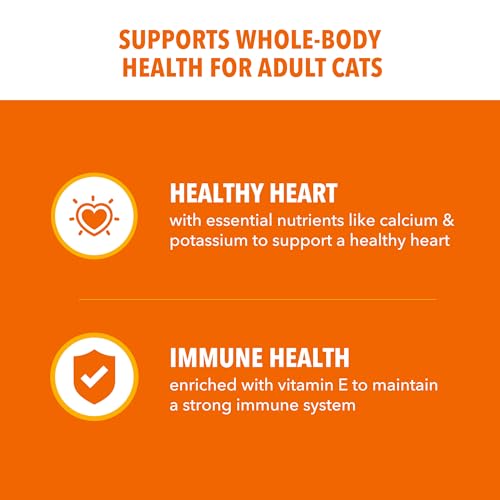 Iams Cat Food Review