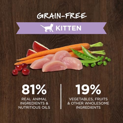Best Raw Cat Food For Kittens