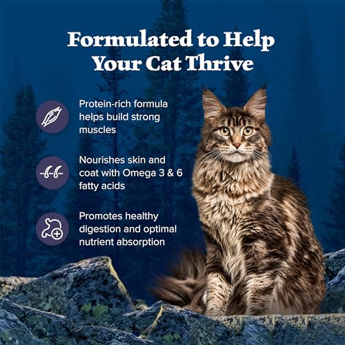 Blue Buffalo Cat Food Review