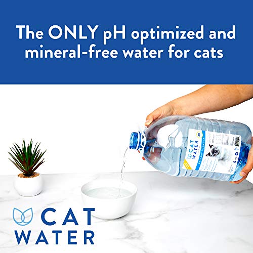 Best Cat Food For Cats That Don't Drink Water