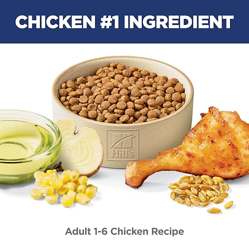 Hills Science Diet Cat Food Review