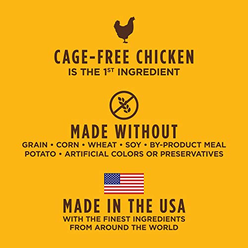 Instinct Cat Food Review