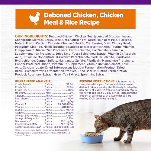 Wellness Cat Food Review